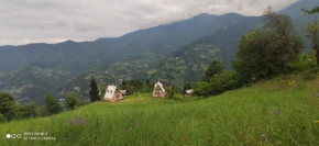 GREEN GUNDAURI